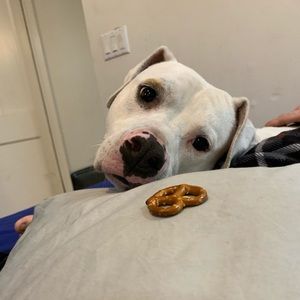 Meet your Posher, Klaus